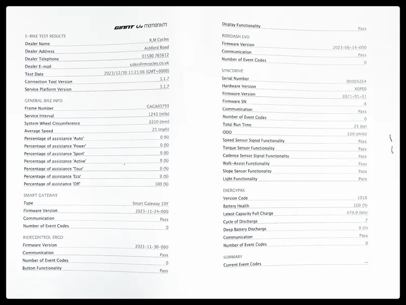 Liv Thrive E+ EX Pro 25km/h Small Echeveria 2022-9